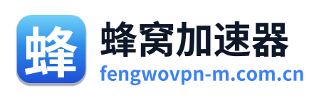 蜂窝加速器